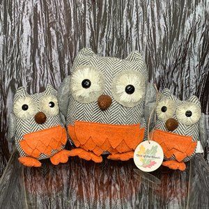 Cute Owls Decore